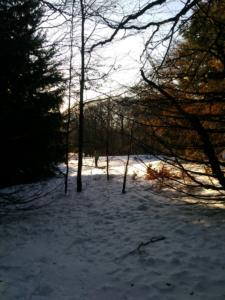 VercorsHivers-date (92)