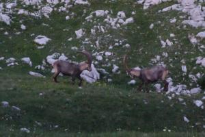 GrandVeymont-date (288)