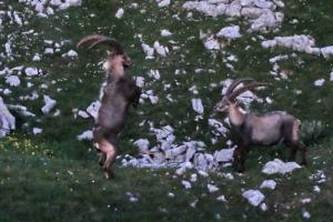 GrandVeymont-date (291)