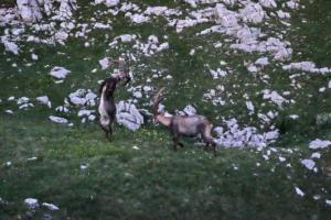 GrandVeymont-date (294)