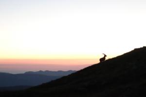 GrandVeymont-date (304)