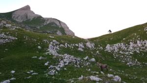 GrandVeymont-date (312)