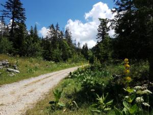 GrandVeymont-date (36)