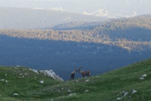 GrandVeymont-date (380)