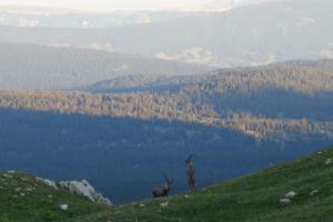 GrandVeymont-date (381)