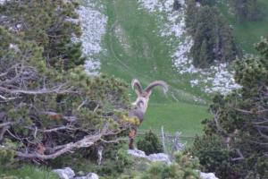 GrandVeymont-date (384)