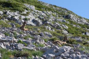 GrandVeymont-date (424)