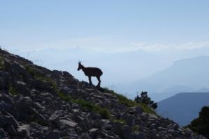 GrandVeymont-date (425)