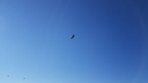 GrandVeymont-date (459)