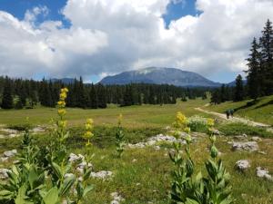 GrandVeymont-date (48)