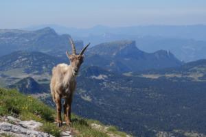 GrandVeymont-date (511)