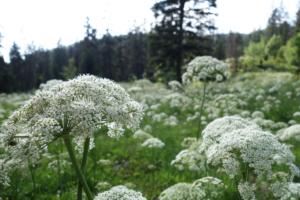 GrandVeymont-date (660)