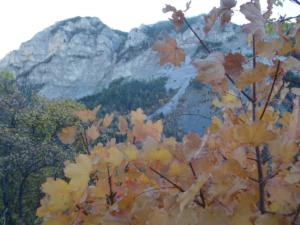 GrandCoyer-date (13)