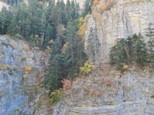 GrandCoyer-date (146)