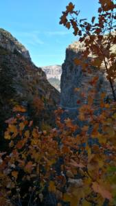 GrandCoyer-date (163)