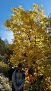 GrandCoyer-date (170)