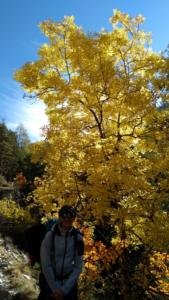 GrandCoyer-date (171)