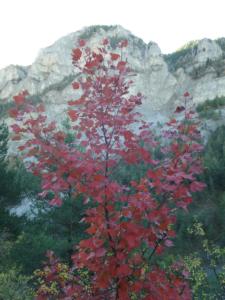 GrandCoyer-date (18)