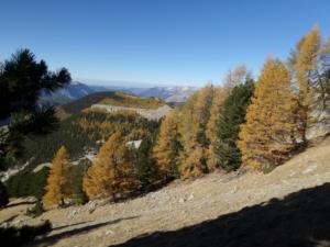 GrandCoyer-date (366)