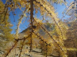 GrandCoyer-date (388)