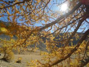 GrandCoyer-date (389)