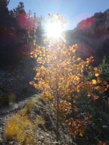GrandCoyer-date (47)