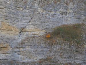 GrandCoyer-date (62)