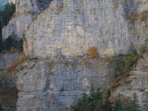 GrandCoyer-date (63)