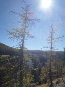 GrandCoyer-date (759)