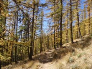 GrandCoyer-date (761)