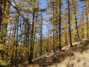 GrandCoyer-date (762)