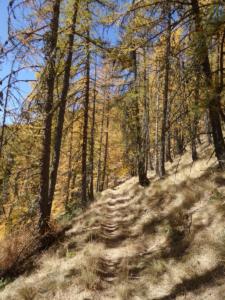 GrandCoyer-date (763)