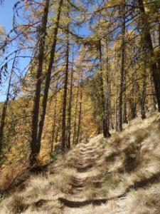 GrandCoyer-date (764)