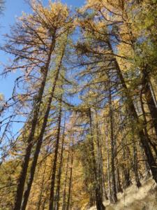 GrandCoyer-date (765)