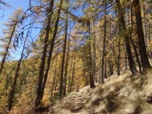 GrandCoyer-date (766)