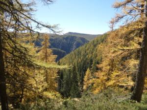 GrandCoyer-date (767)