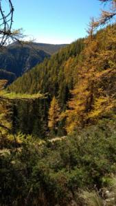 GrandCoyer-date (768)