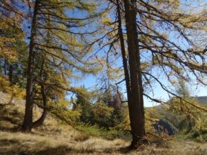 GrandCoyer-date (780)