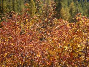 GrandCoyer-date (788)