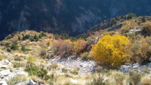 GrandCoyer-date (793)