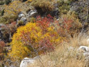 GrandCoyer-date (794)