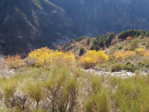 GrandCoyer-date (795)