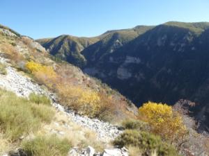 GrandCoyer-date (796)