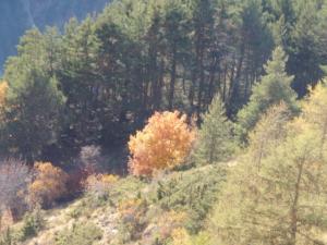 GrandCoyer-date (797)