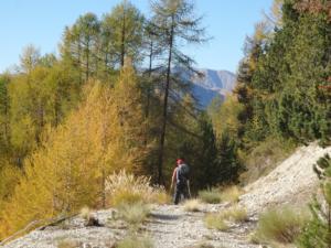 GrandCoyer-date (799)