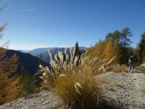 GrandCoyer-date (800)