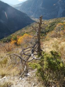 GrandCoyer-date (805)