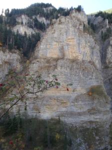 GrandCoyer-date (84)