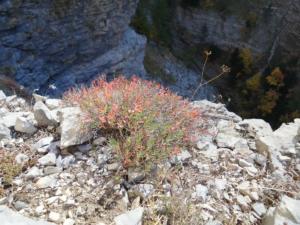 GrandCoyer-date (94)