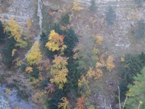 GrandCoyer-date (96)